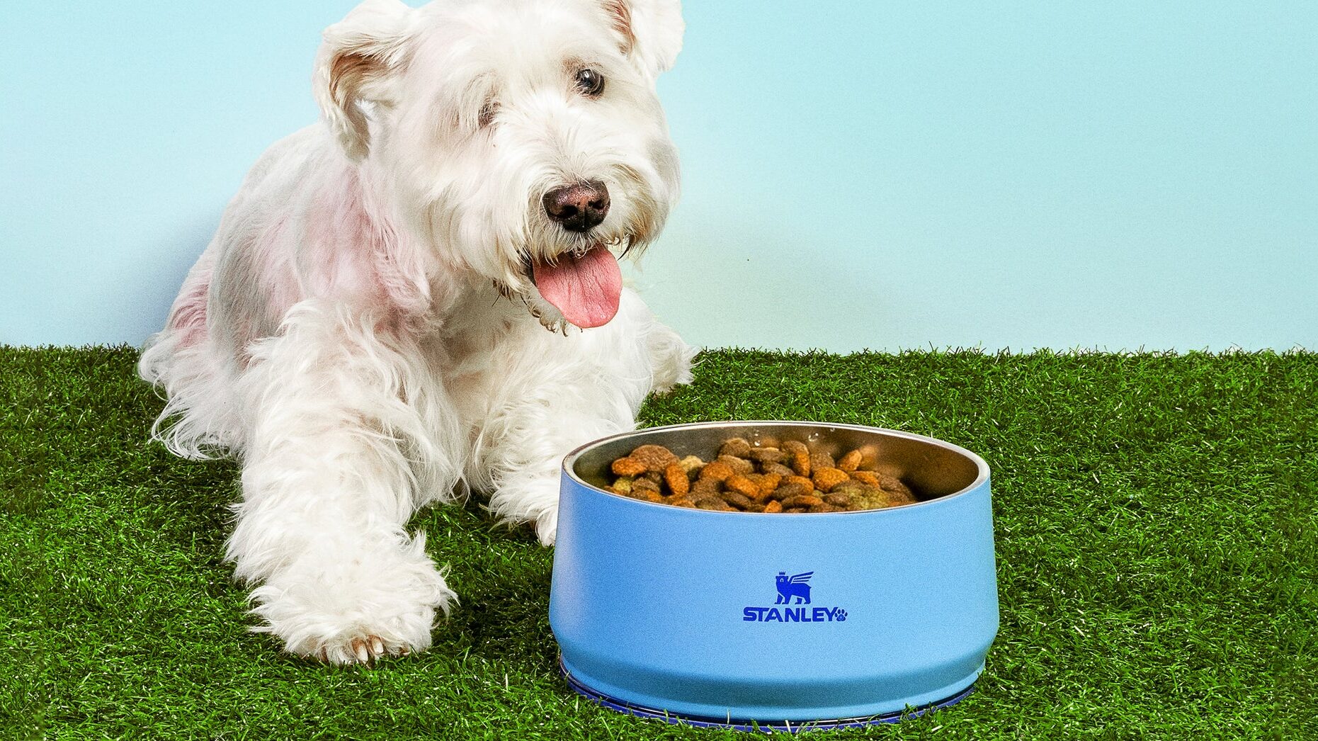 Stanley Pet Bowl 2 1 edited