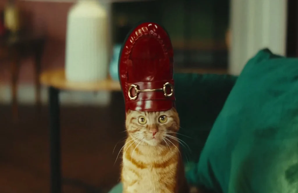 Gato Influenciador: TK Maxx faz campanha inusitada com um gato 248. gato influenciador TK Maxx