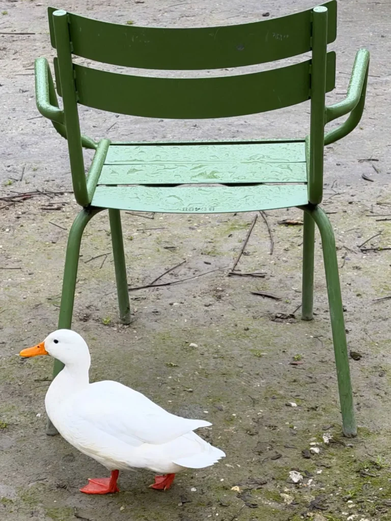 dior invitation chaise paris defile jonathan anderson 1 1.jpg