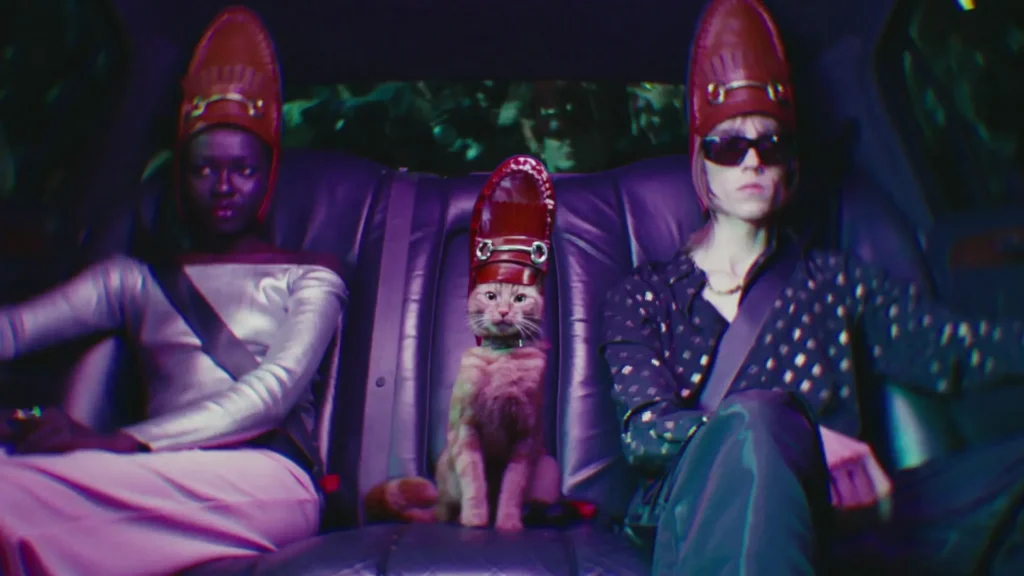 Gato Influenciador: TK Maxx faz campanha inusitada com um gato 1 tk maxx campagne fashion week chat wieden kennedy mode absurde iconique 8.jpeg