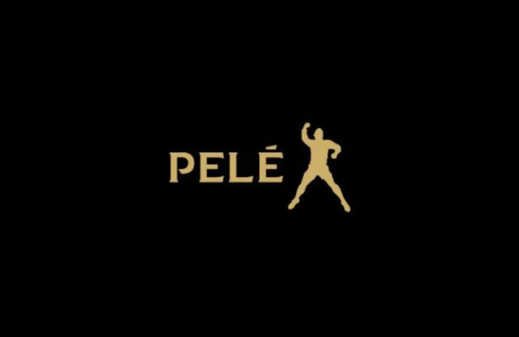 388. marca pele rebranding