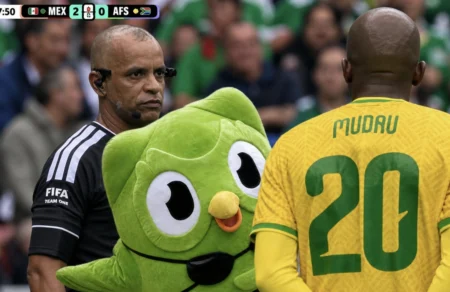 37. duolingo wilton sampaio campanha