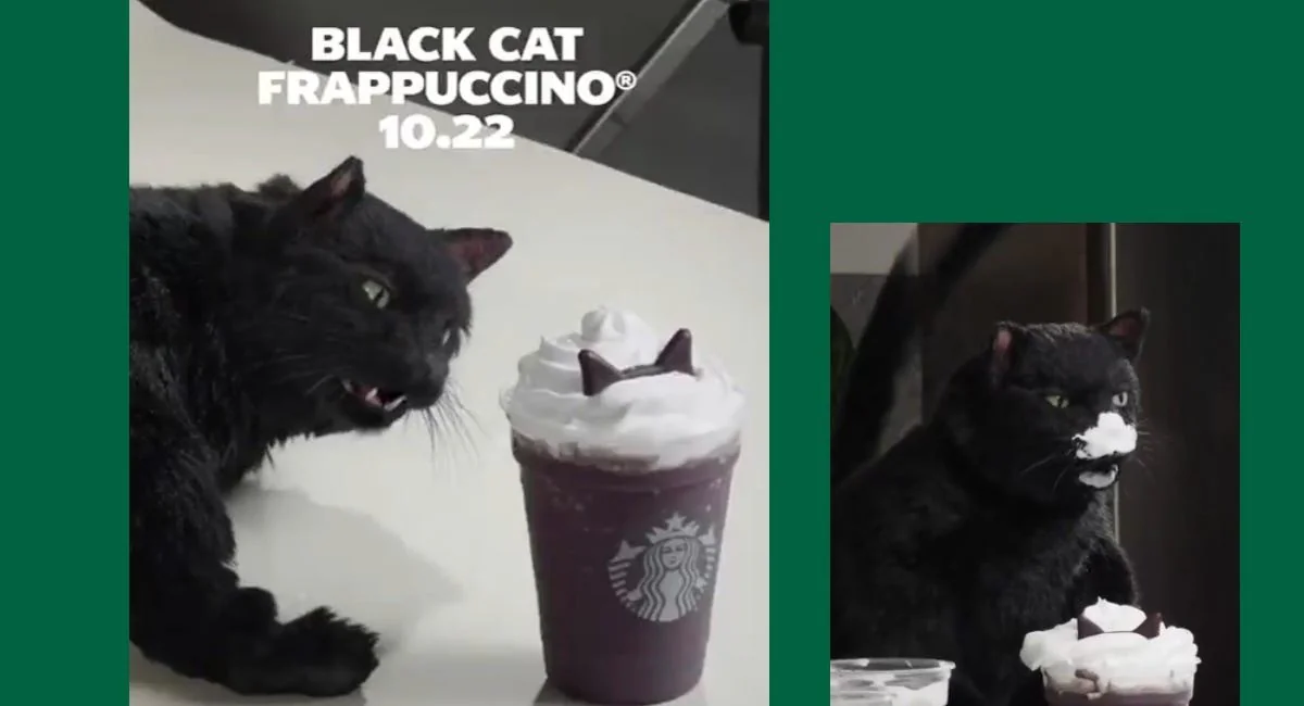 Starbucks traz Salem de volta para o Black Cat Frappuccino 2 Salem, de Sabrina, Aprendiz de Feiticeira, na campanha do Black Cat Frappuccino