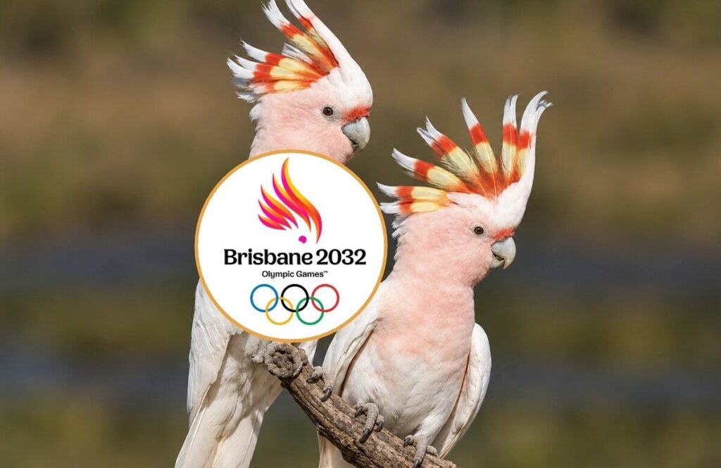 Logo dos Jogos Olímpicos Brisbane 2032 é inspirado em cacatua