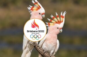 Logo dos Jogos Olímpicos Brisbane 2032 é inspirado em cacatua Logo dos Jogos Olímpicos Brisbane 2032 é inspirado em cacatua