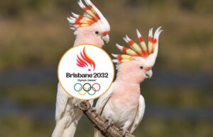 Logo dos Jogos Olímpicos Brisbane 2032 é inspirado em cacatua Logo dos Jogos Olímpicos Brisbane 2032 é inspirado em cacatua