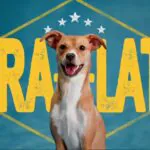 Pedigree usa a Copa para Ressignificar o Termo Vira-Lata